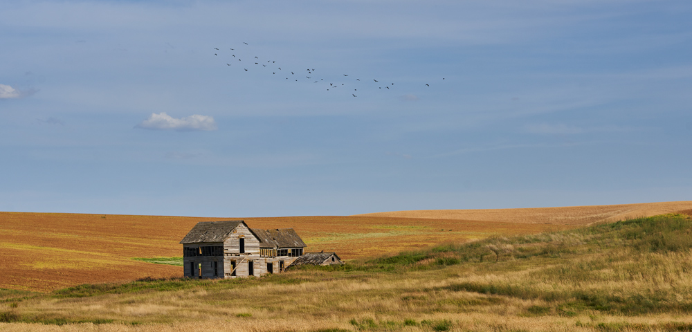 Another abandoned house