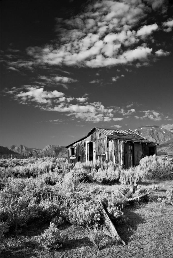 Sierra Cabin