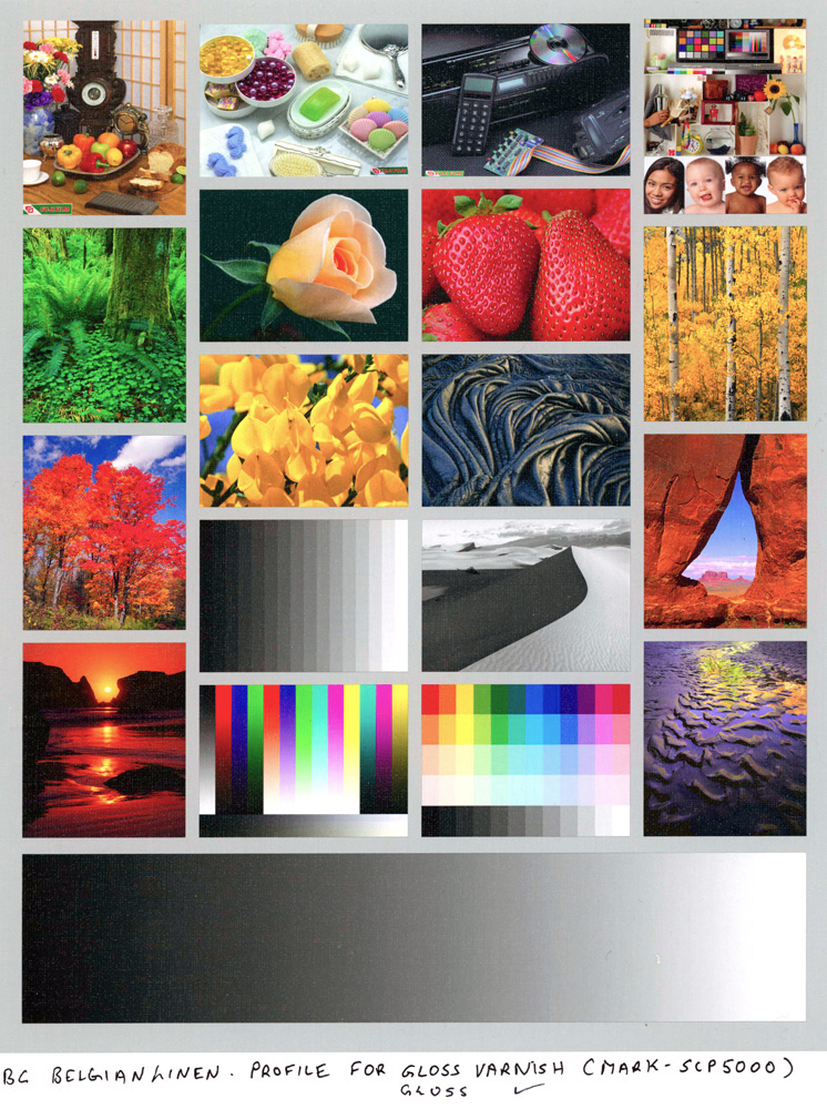 Figure 16. Atkinson Test BC GLOSS Varnish