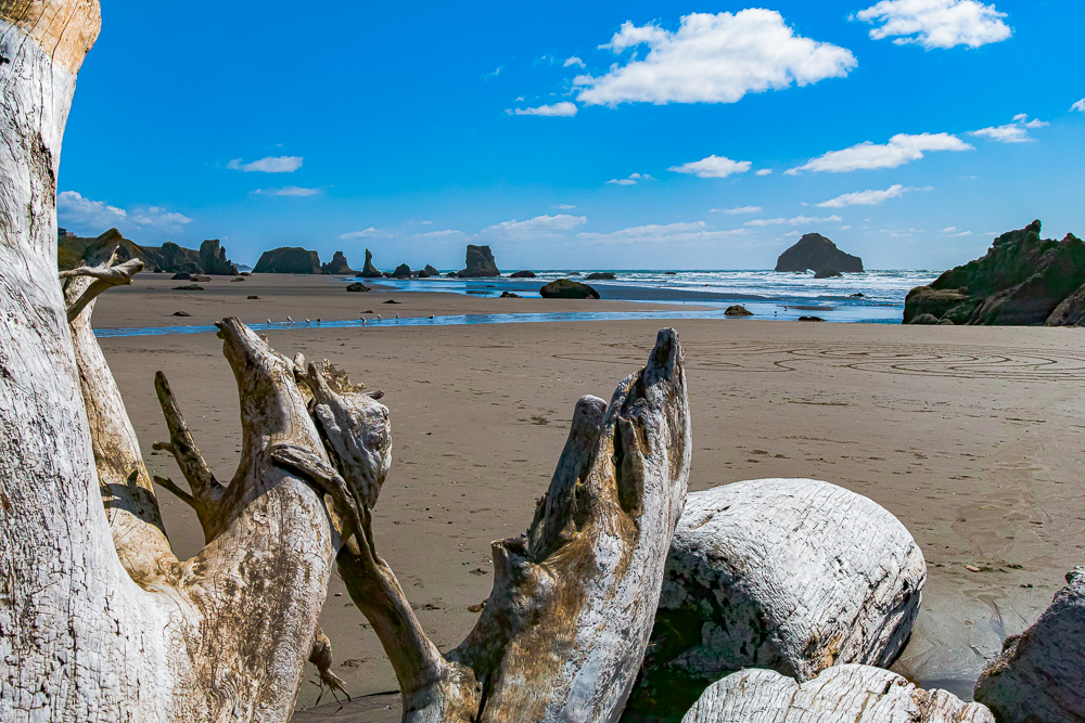 “Sea Stacks and Driftwood, Bandon Beach, OR, 2017”