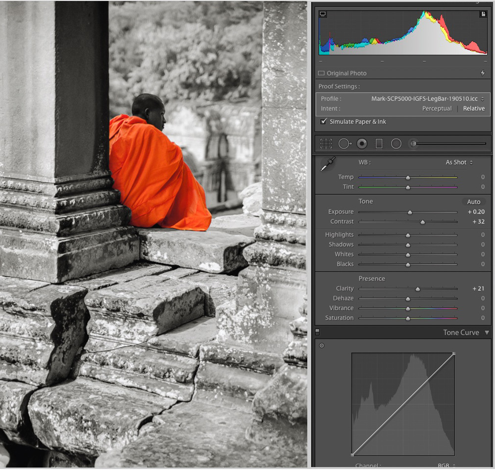 Figure 29-1. Angkor Munk, IGFS (Ilford Gold Fibre Silk)