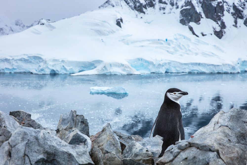 Ben Olson Antarctica