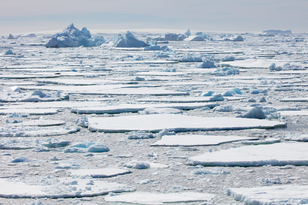 Ben Olson Antarctica