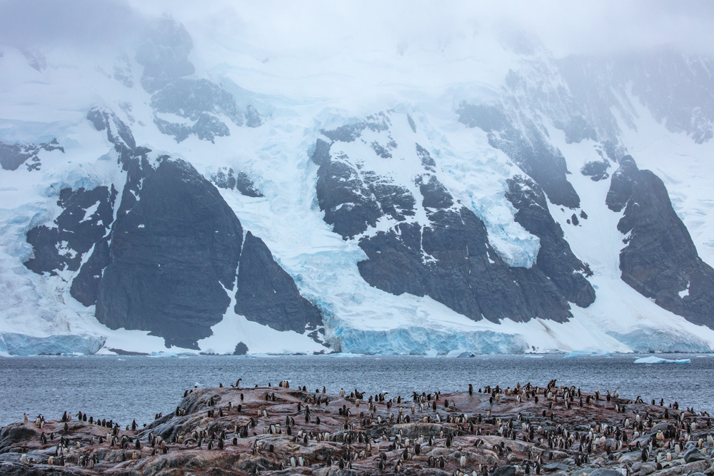 Antarctica