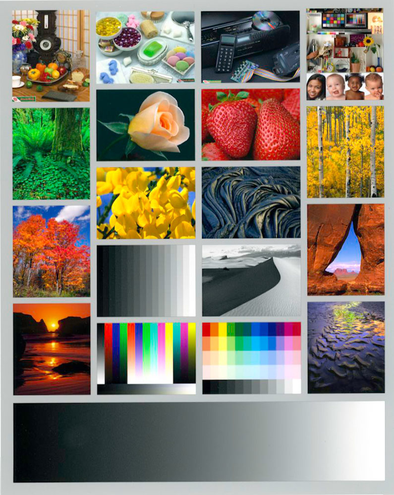 Figure 10. River Stone Satin- Atkinson Test Image – Scan of Actual Print