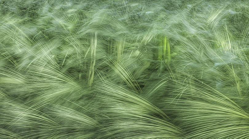 Abstract made with Slow Shutter Camera on a tripod.