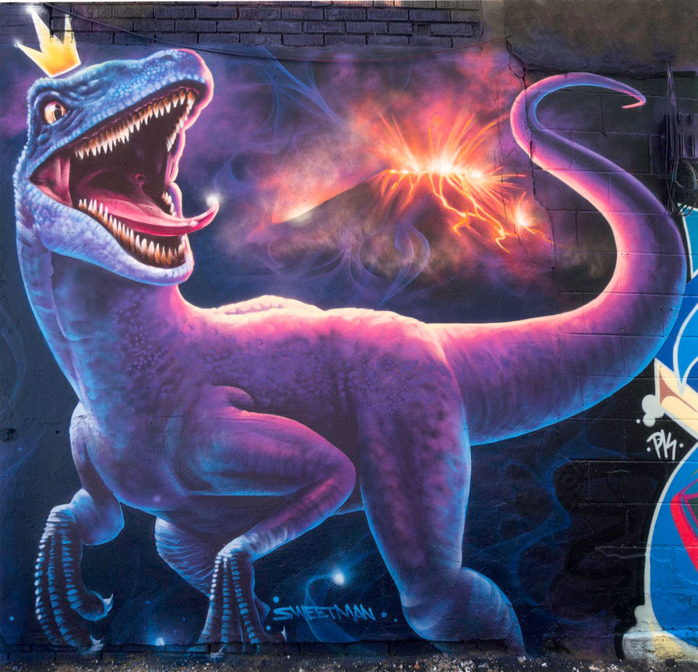 Figure 11. River Stone Satin – Raptor Mural, copyright Nick Sweetman Photograph copyright Mark D Segal