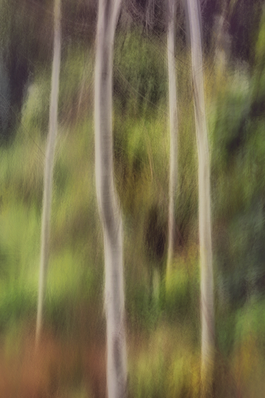 SlowShutterCam Vertical Swipe