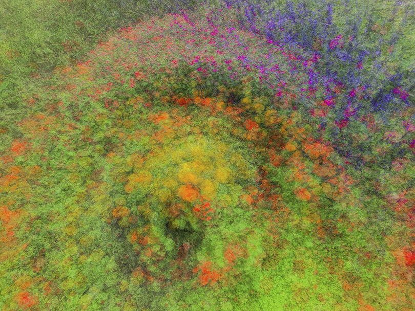 AvgCamPro abstract