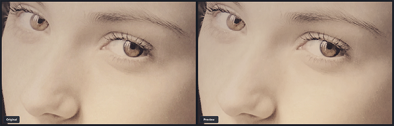 Split Screen Comparison of Gigapixel AI from Topaz Labs. Image on right enlarged 4 times