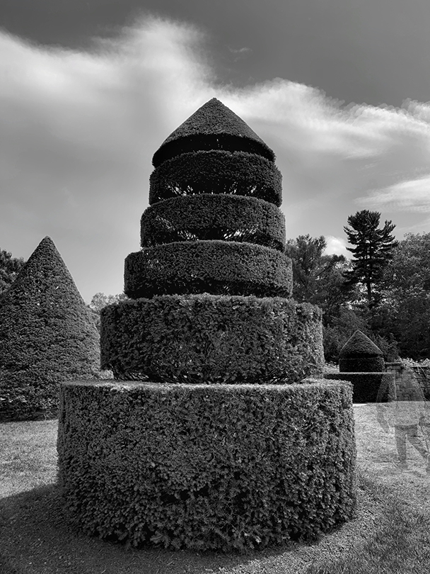 Average Cam Pro and Dramatic Black & White