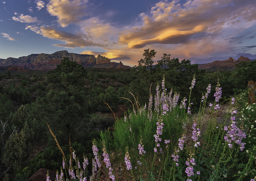 Late day view toward Secret Mountain Wilderness, Sedona, AZ