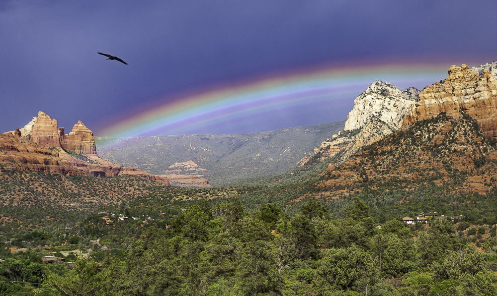 Raven & unusual rainbow above a cloudless Mogollon Rim