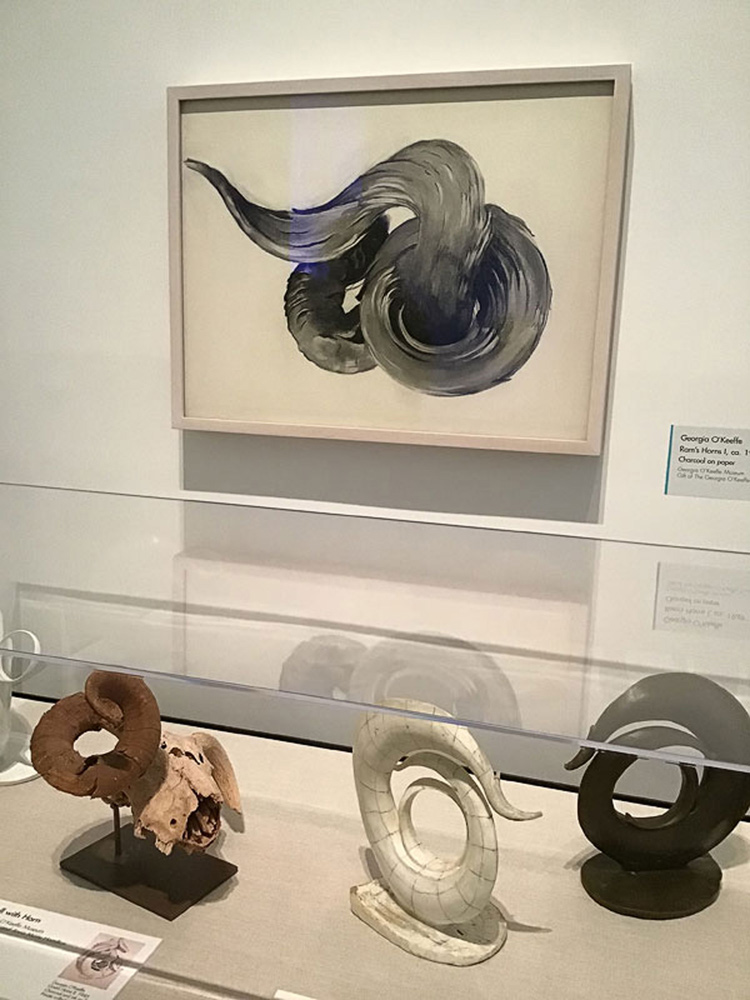 Ram’s Horns II  -  Georgia O’Keeffe