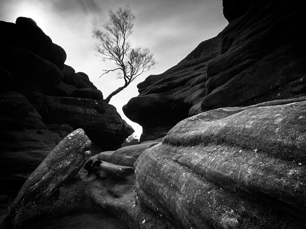 Steve Gosling Mirrorless