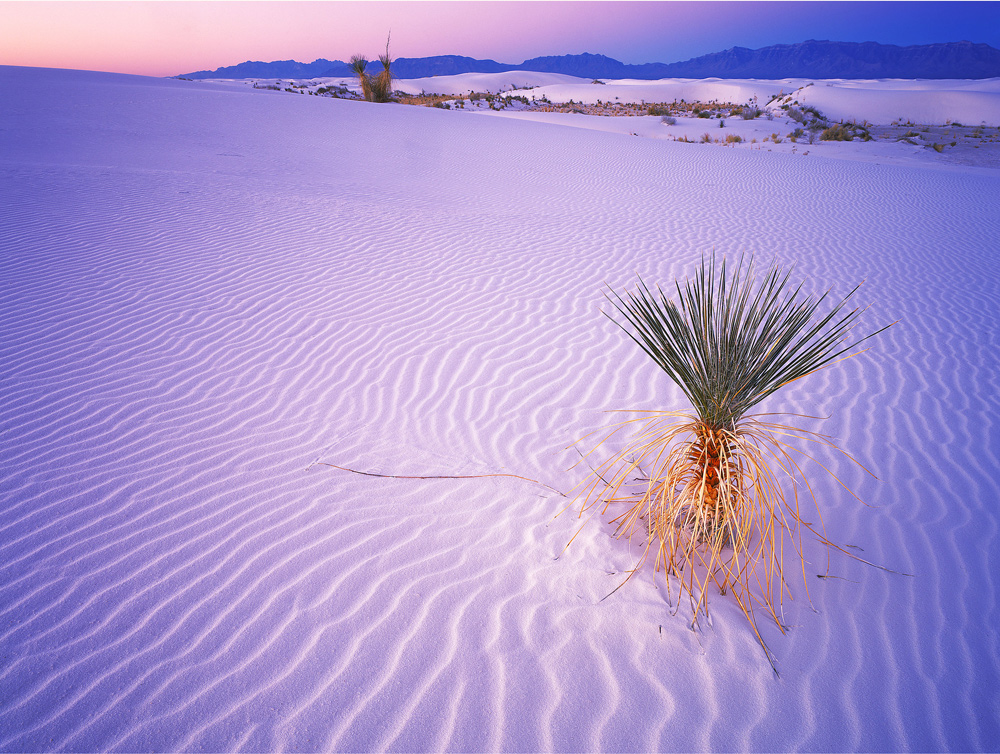 White Sands Sunrise