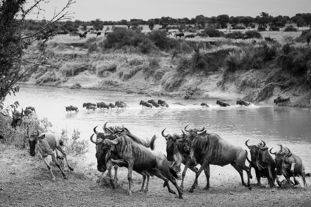 Tanzania
