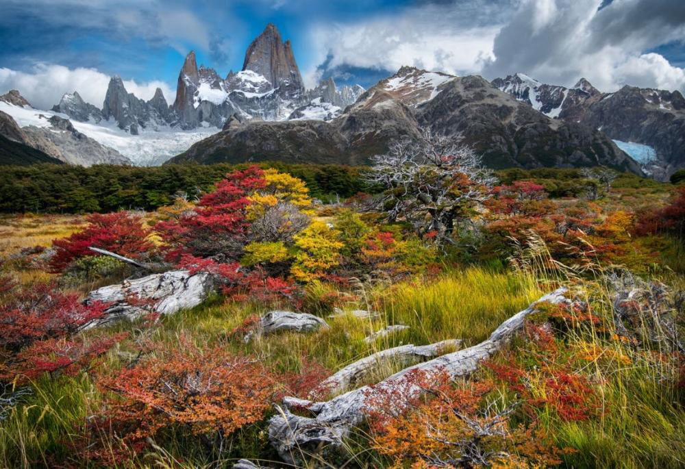 Balancing splashes of bold red with relatively larger areas of neautral browns and greys Patagonia