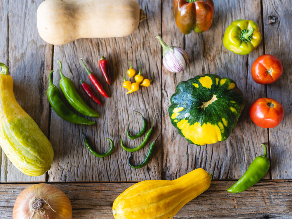 food photography 