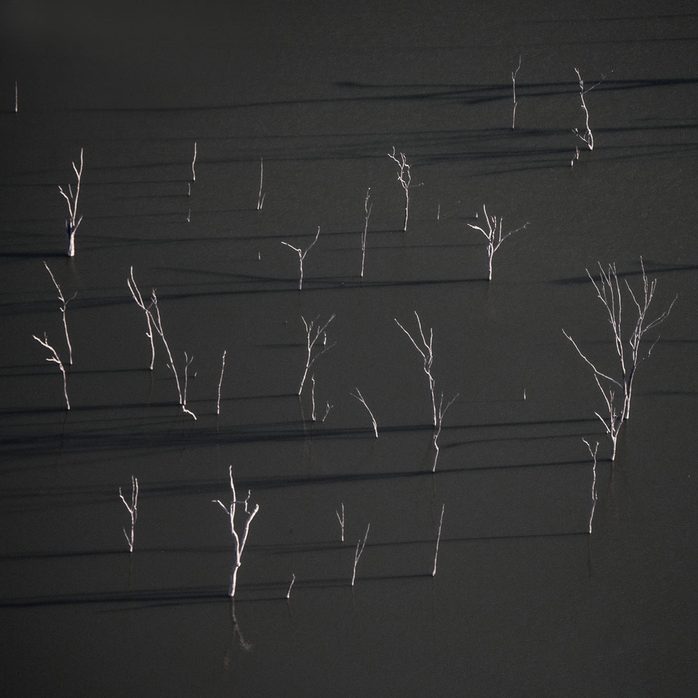 Predominant dark tones evoke heavy emotion, balanced by small sparse trees. Queensland, Australia.