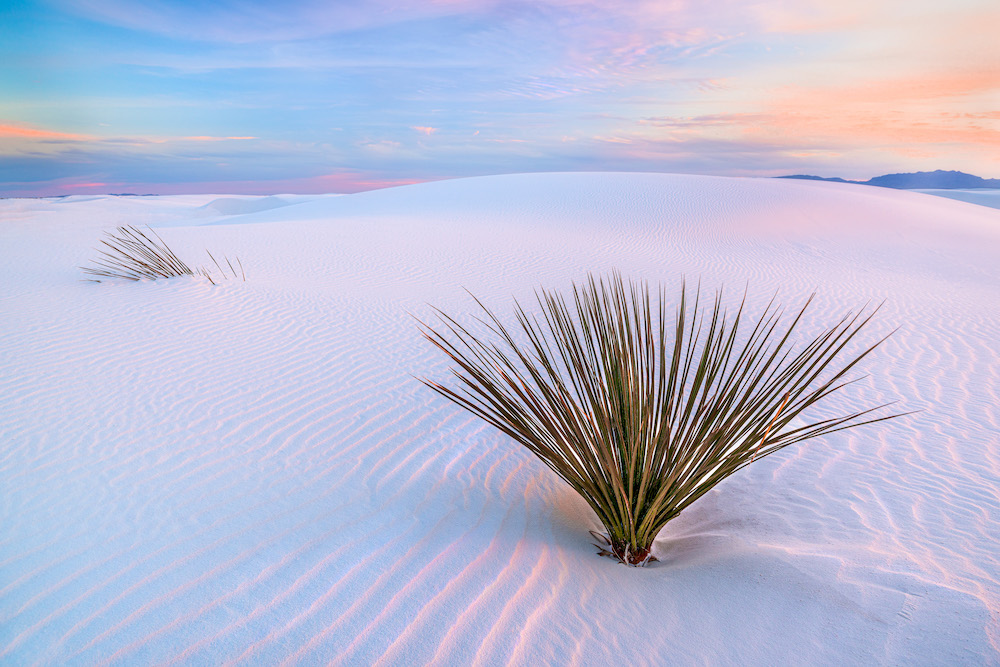 white dunes