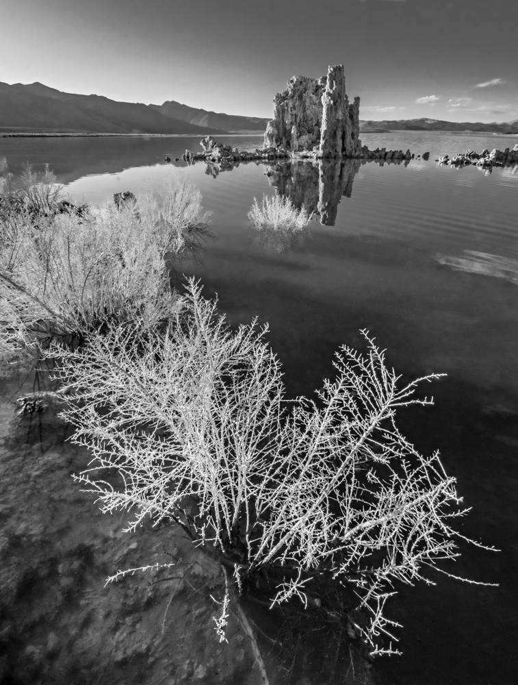 Mono Lake.  Lee Vining, California