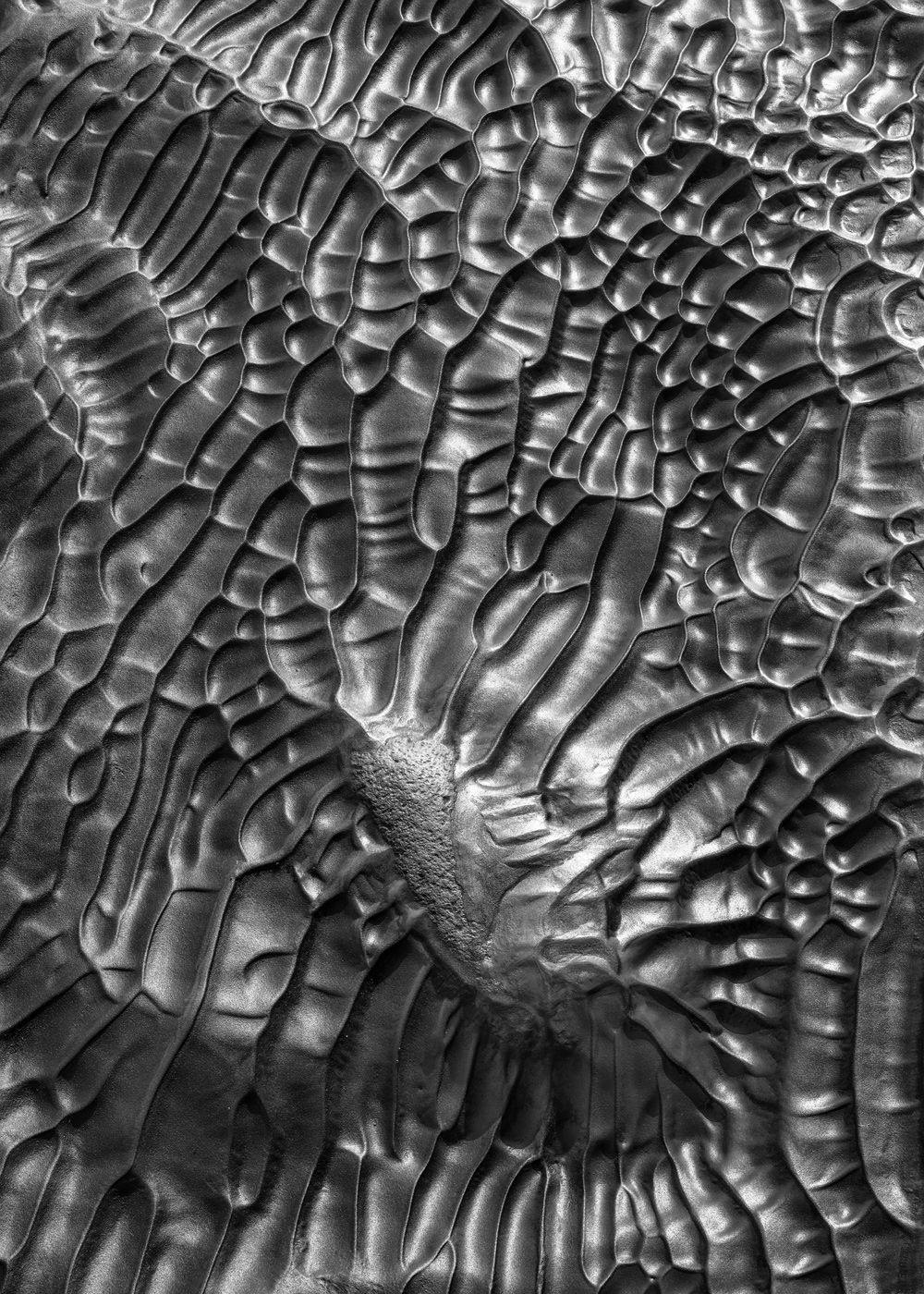 Landscape Photographer of the Year (based on a folio submission of at least 4 images) is Oleg Ershov from Russia