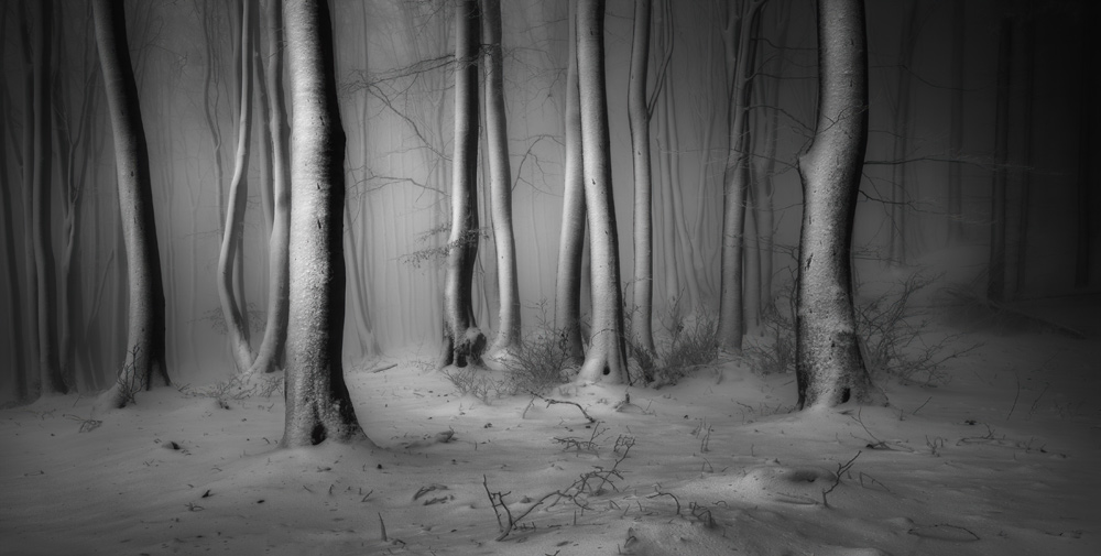 The Snow and Ice Award 2019 Veselin Atanasov, Bulgaria
