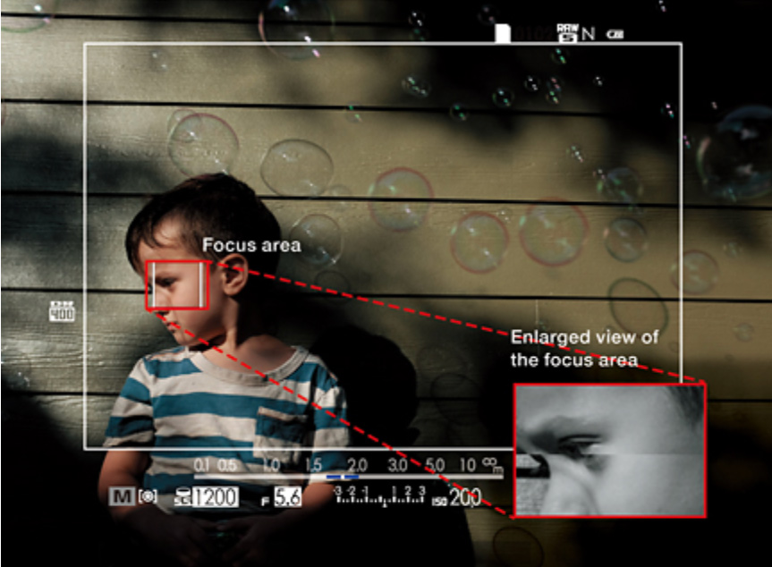 viewfinder