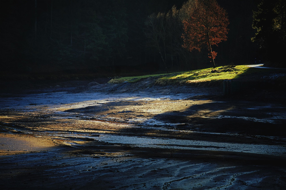 Hagerwald Seegrund (Canon RP, Zeiss Sonnar 2,8/85mm)