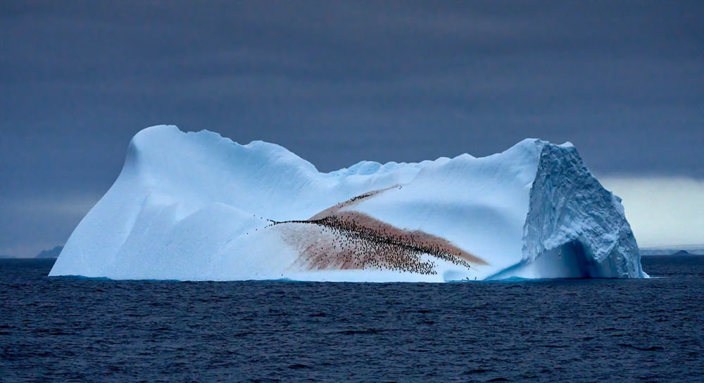 The iceberg as we approached 