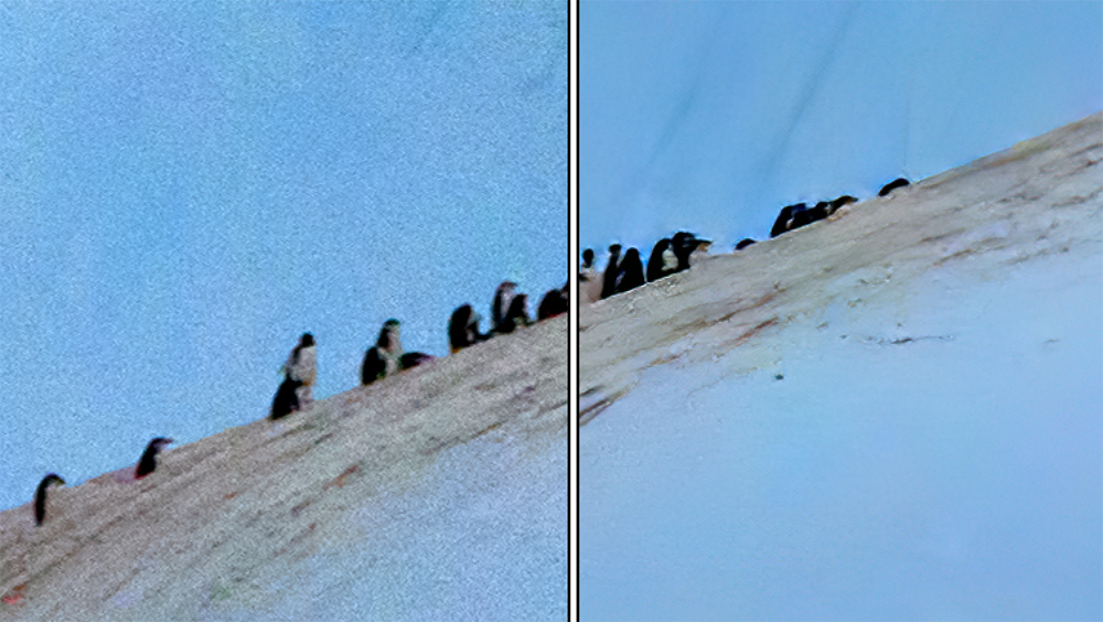 Before and after for Topaz DeNoise AI