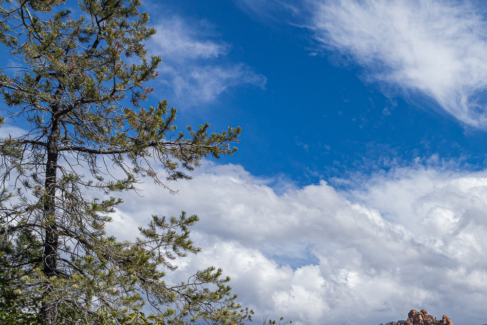 Upper left corner of “Mogollon Rim” image at 1:1