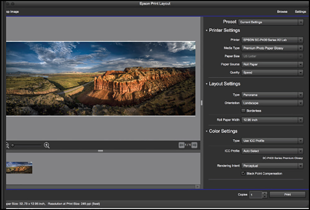 Figure 11. Epson Print Layout Interface