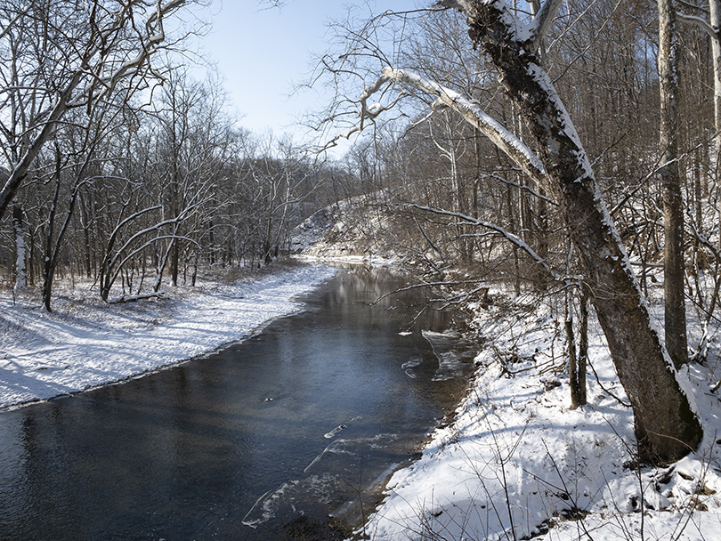 Creek_BEFORE
