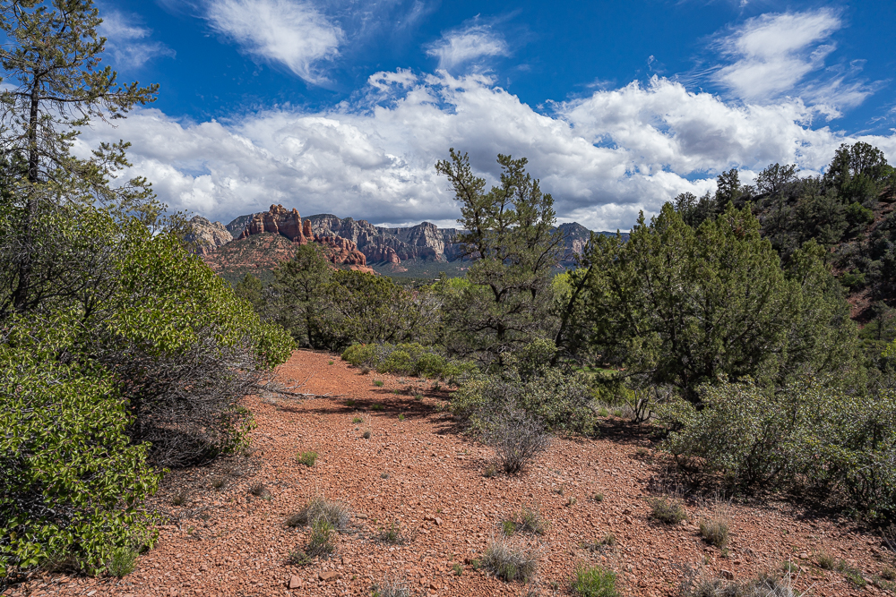 “View Toward Mogollon Rim”, Sony 20mm f1.8 G on A7r M4