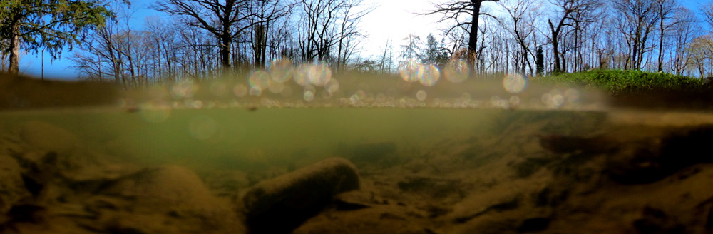 Underwater pano