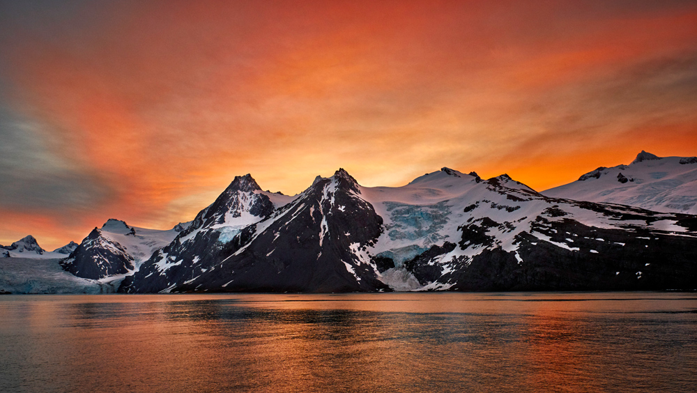 South Georgia Island, let's do it in 2021