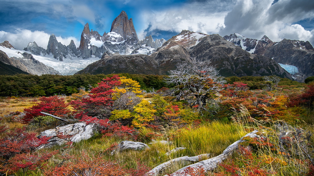 Patagonia