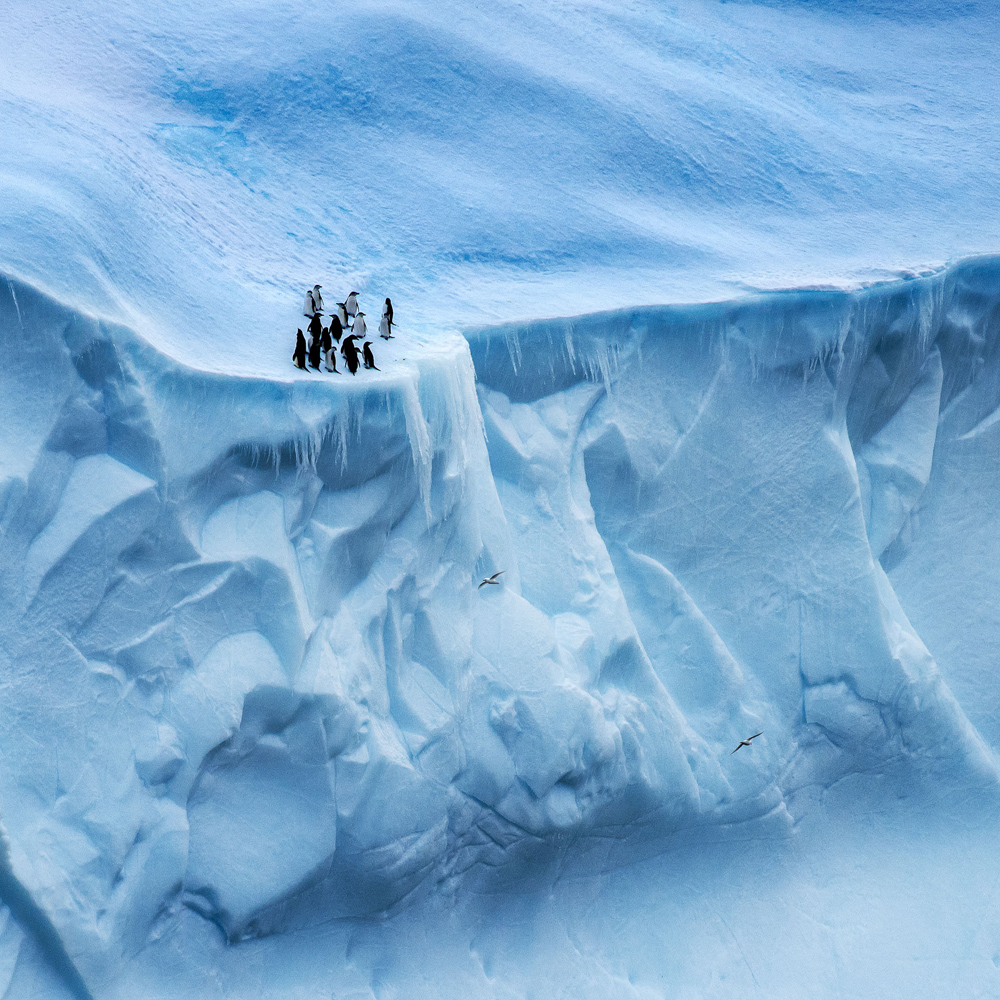 Antarctica
