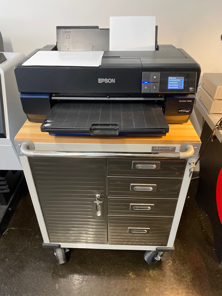 The Epson P800
