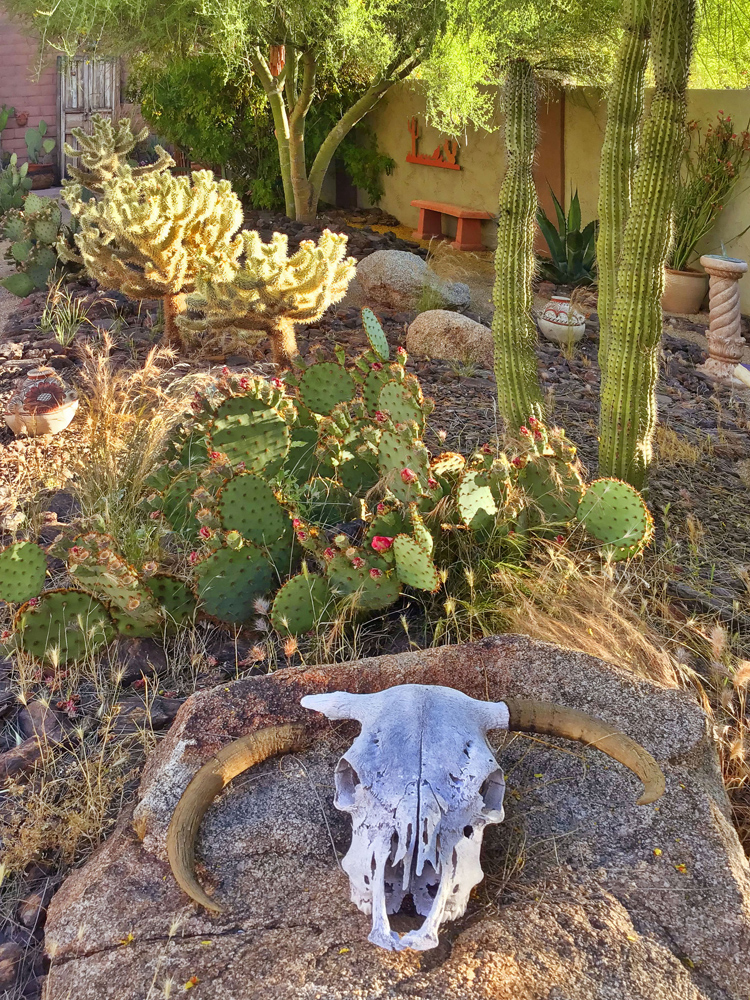 Backyard Project #9