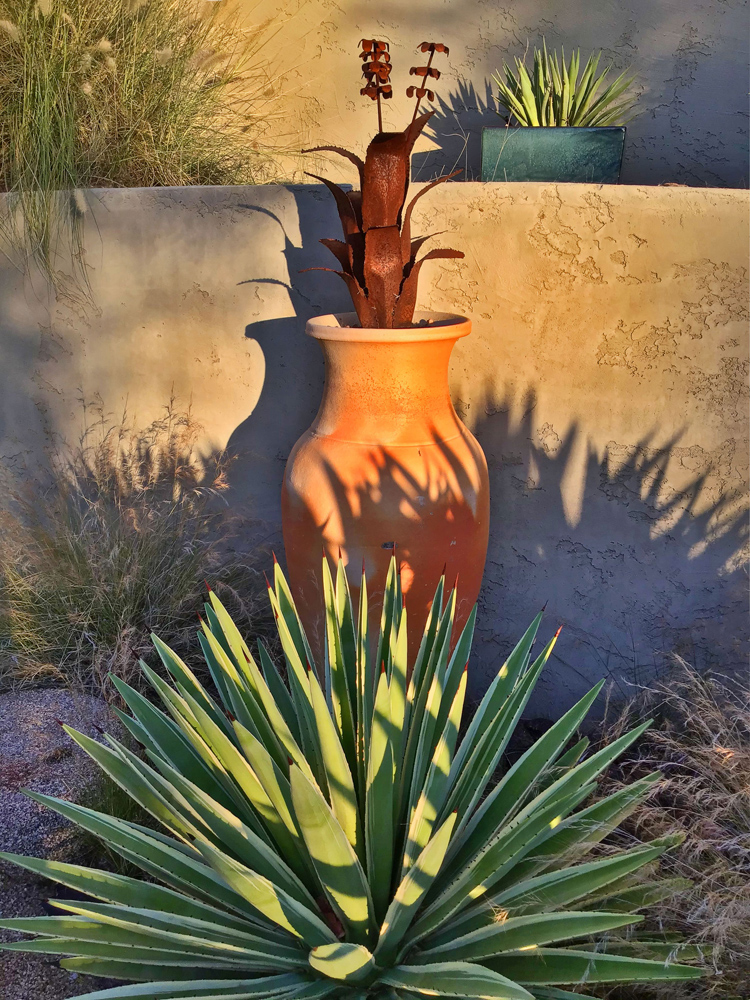 Backyard Project #17