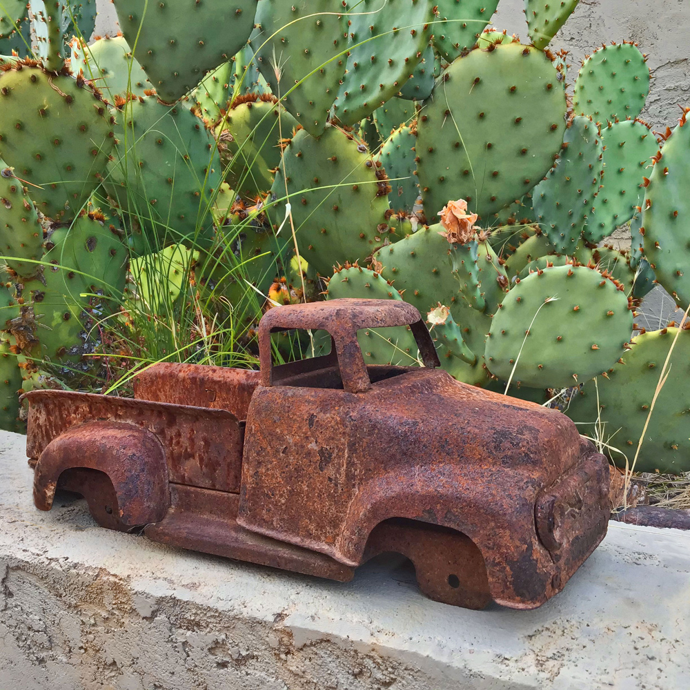 Backyard Project #28
