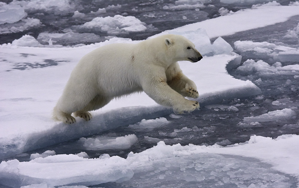 Svalbard