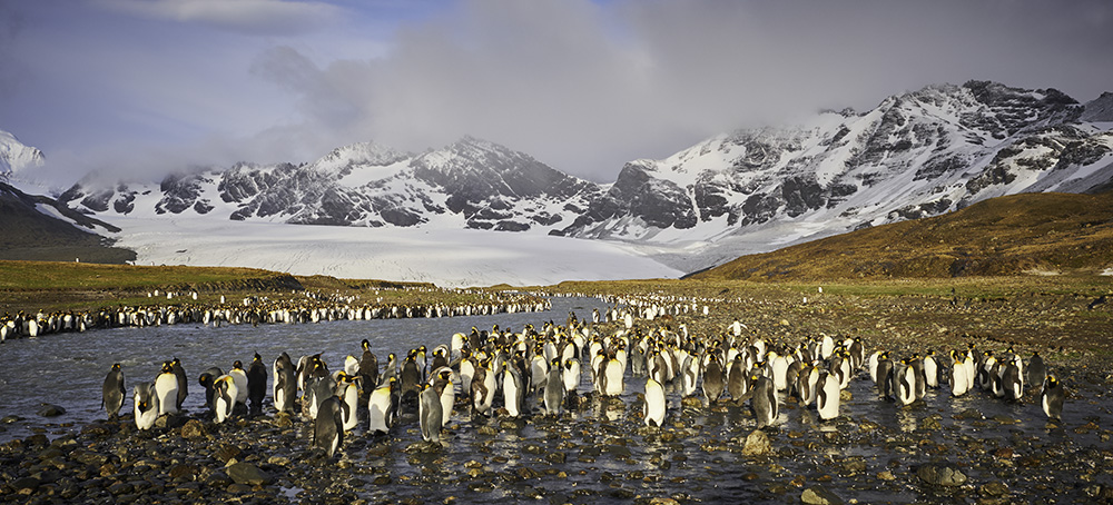 South Georgia Island