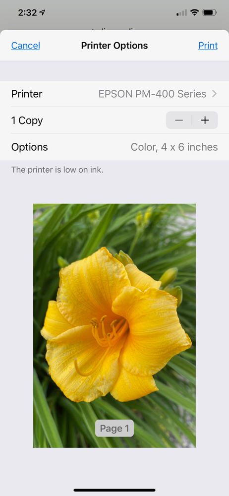 Confirm printer, copies, and size