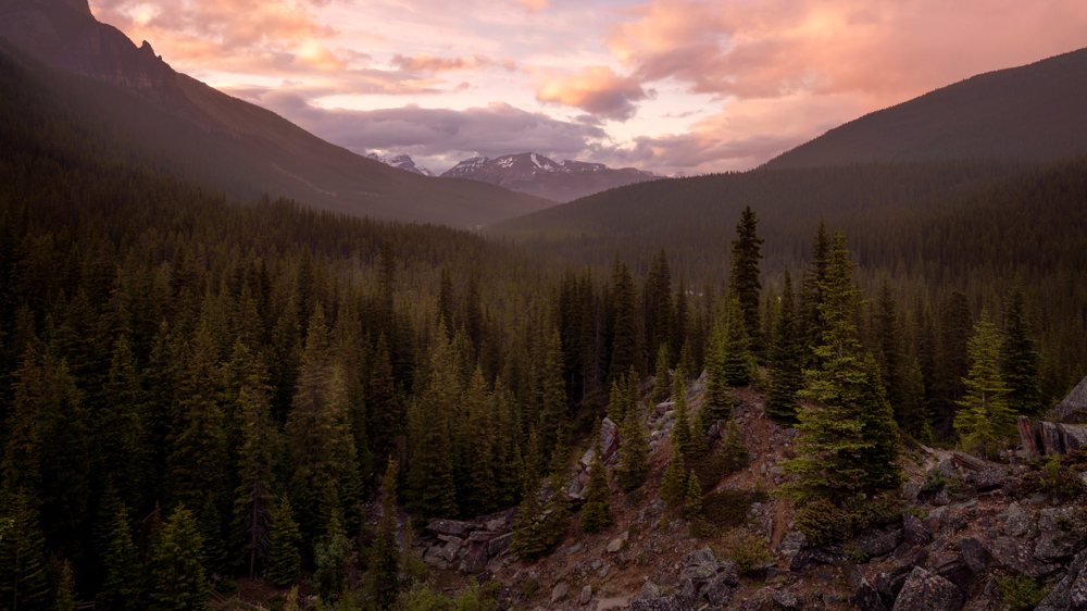The light was beautiful in this direction and I could not resist shooting down the valley. This image is a single shot at f/16.