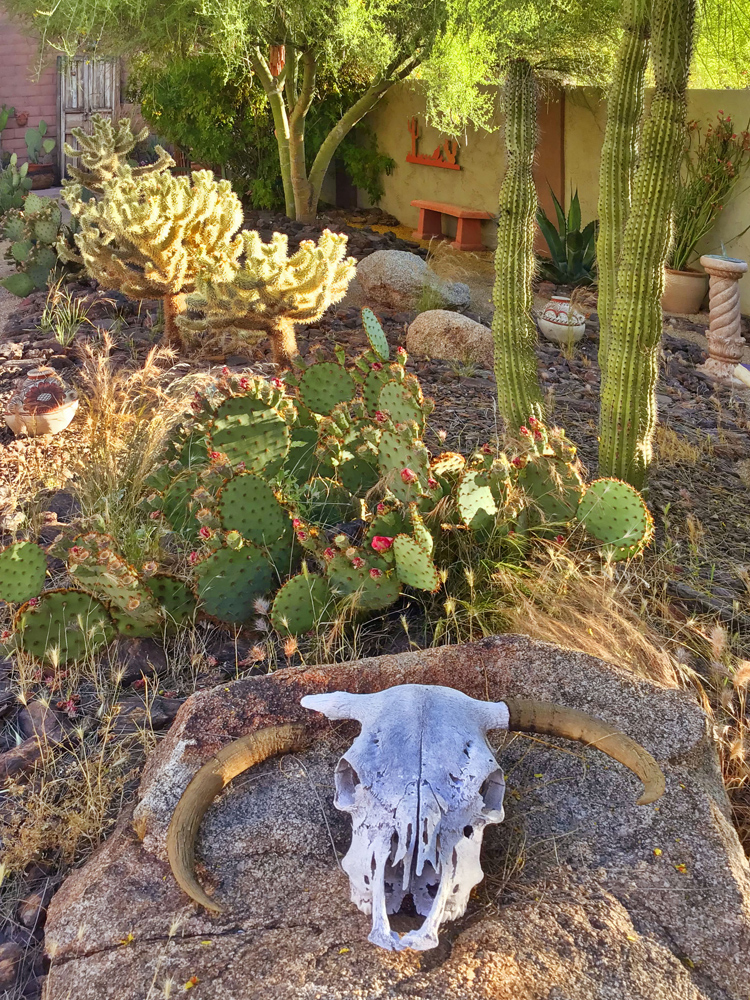 Backyard Project #4