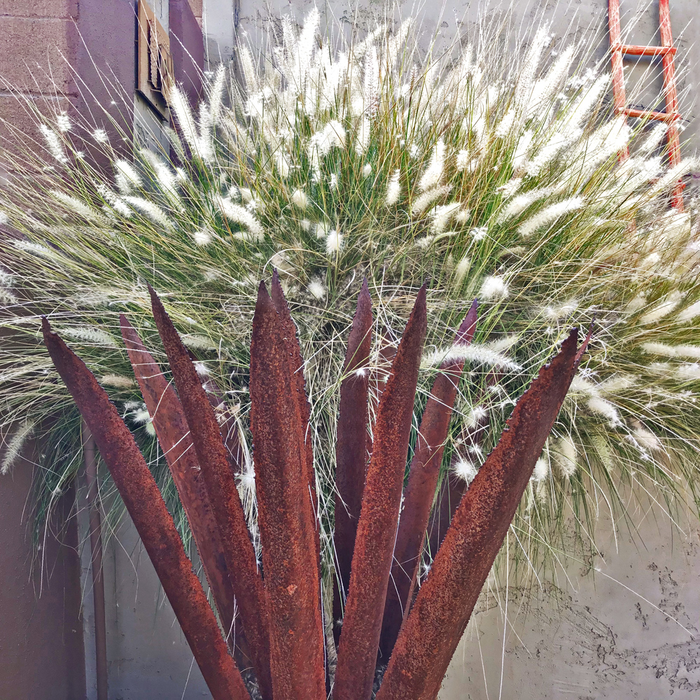 Backyard Project #22